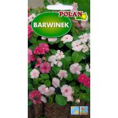 Barwinek (Catharanthus roseus) - 0,2 g 