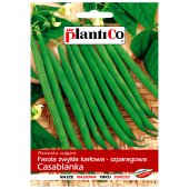 Fasola szparagowa karłowa zielonostrąkowa CASABLANKA (Phaseolus vulgaris) - 40 g