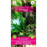 MIZUNA Japońska musztarda - mieszanka zielona i czerwona (Brassica rapa var.japonica) - 1 g