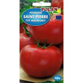 Pomidor gruntowy wysoki i pod osłony SAINT PIERRE (Solanum lycopersicum L.) - 0,5 g