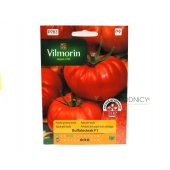 Pomidor gruntowy wysoki i pod osłony BUFFALOSTEACK F1 (Solanum lycoprsicum) - 10 szt.