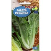 Sałata rzymska LIWIA (Lactuca sativa) - 1 g