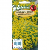 Smagliczka górska (żółta) (Alyssum montanum) - 0,5 g
