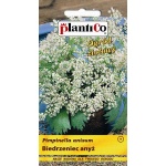 Anyż, Biedrzeniec (Pimpinella anisum) - 1 g