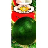 Arbuz, Kawon SUGAR BABY (Citrullus lanatus) - 1 g