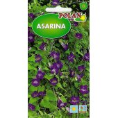Asarina (Asarina scandens) - 0,02 g