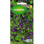 Asarina (Asarina scandens) - 0,02 g