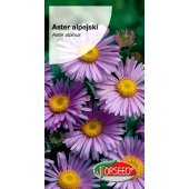Aster alpejski (mieszanka) (Aster alpinus) - 0,5 g