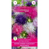 Aster chiński igiełkowy wysoki mieszanka (Callistephus chinensis) - 1 g