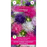 Aster chiński igiełkowy wysoki mieszanka (Callistephus chinensis) - 1 g