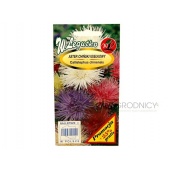 Aster chiński igiełkowy wysoki mieszanka (Callistephus chinensis) - 1 g + 0,25 g