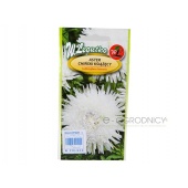 Aster chiński książęcy wysoki biały (Callistephus chinensis) - 1 g