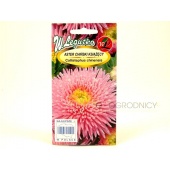 Aster chiński książęcy wysoki różowy (Callistephus chinensis) - 1 g