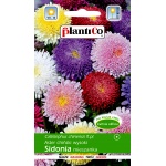 Aster chiński książęcy mieszanka (Callistephus chinensis) - 1 g 