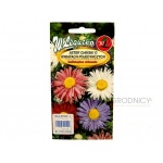 Aster chiński o kwiatach pojedynczych MADELEINE mieszanka (Callistephus chinensis) - 1 g
