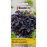 Bazylia czerwona (Ocimum basilicum) - 0,5 g