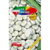 Bób BACHUS (Vicia faba L.) - 50 g