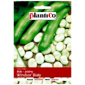 Bób WINDSOR BIAŁY (Vicia faba) - 50 g