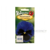 Bratek wielkokwiatowy ALPENSEE niebiesko - czarny  (Viola x wittrockiana) - 0,5 g