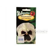 Bratek wielkokwiatowy SILBERBRAUT biało - czarny (Viola x wittrockiana) - 0,5 g