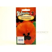 Bratek wielkokwiatowy ORANGE MIT AUGE pomarańczowo-czarny (Viola x wittrockiana) - 0,3 g 
