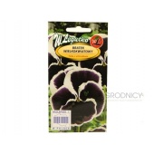 Bratek wielkokwiatowy SPANISH EYES fioletowy z białą obwódką (Viola x wittrockiana) - 0,4 g