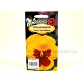 Bratek wielkokwiatowy żółto-czerwony (Viola x wittrockiana) - 0,4 g