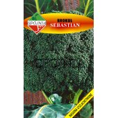 Brokuł SEBASTIAN (Brassica oleracea var. botrytis) - 1 g