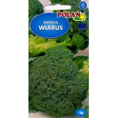 Brokuł WIARUS (Brassica oleracea var. botrytis) - 1 g