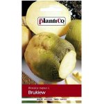 Brukiew WILHELMSBURGER (Brassica napus L.) - 10 g