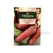Burak ćwikłowy ALEXIS (Beta vulgaris var. conditiva) - 10 g