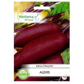 Burak ćwikłowy ALEXIS (Beta vulgaris) - 10 g