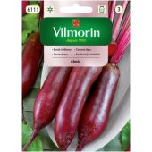 Burak ćwikłowy ALEXIS (Beta vulgaris var. conditiva) - 10 g