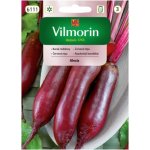 Burak ćwikłowy ALEXIS (Beta vulgaris var. conditiva) - 10 g