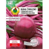 Burak ćwikłowy CZERWONA KULA 2 (Beta vulgaris) - taśma 6 m