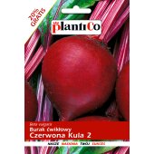 Burak ćwikłowy CZERWONA KULA 2 (Beta vulgaris var. conditiva) - 12 g