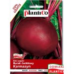 Burak ćwikłowy KARMAZYN (Beta vulgaris) - 12 g