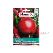 Burak ćwikłowy Okrągły Ciemnoczerwony (Beta vulgaris) - 10 g