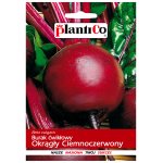 Burak ćwikłowy Okrągły Ciemnoczerwony (Beta vulgaris) - 10 g