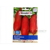 Burak ćwikłowy OPOLSKI (Beta vulgaris) - 12 g