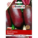 Burak ćwikłowy OPOLSKI (Beta vulgaris) - 12 g