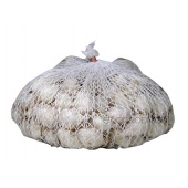 Cebula dymka biała SNOW BALL - 0,25 kg