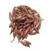 Cebula dymka szalotka ZEBRUNE - 0,20 kg