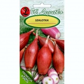 Cebula szalotka ZEBRUNE (Allium cepa) - 2 g + 1g