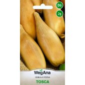Cebula TOSCA (Allium cepa L.) - 2 g