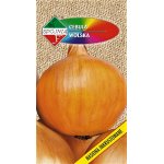 Cebula WOLSKA (Allium cepa) - 5 g