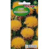 Chaber wielkogłówkowy (żółty) (Centaurea macrocephala) - 1 g