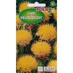 Chaber wielkogłówkowy (żółty) (Centaurea macrocephala) - 1 g