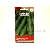 Cukinia ASTRA POLKA (Cucurbita pepo) - 2 g
