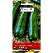 Cukinia ASTRA POLKA (Cucurbita pepo) - 3 g